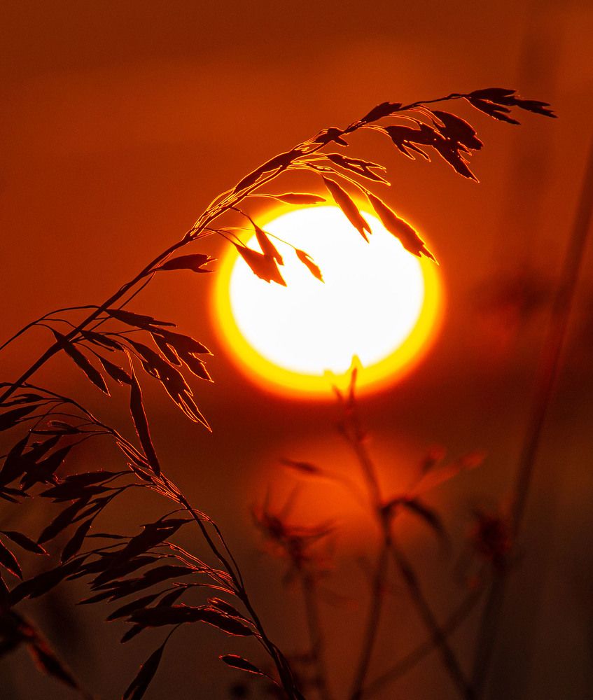 Photograph by Василий Губский