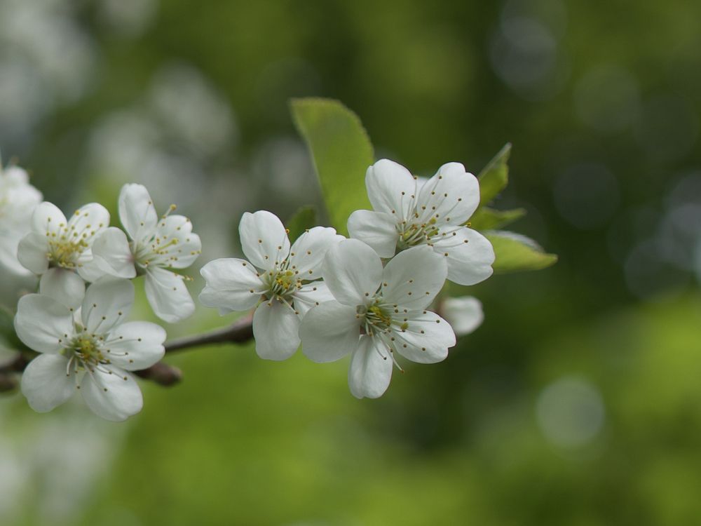 Photograph by Серегина Ирина