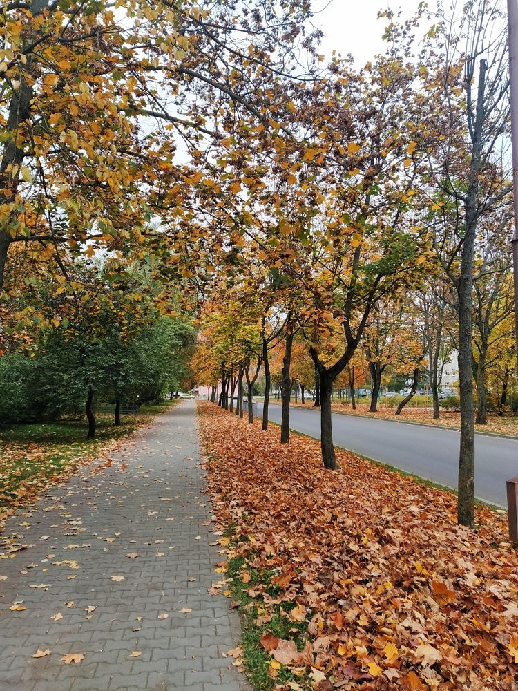 Фотография автора Гвоздецкая Анна