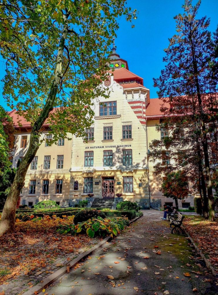 Photograph by Елена Шерман