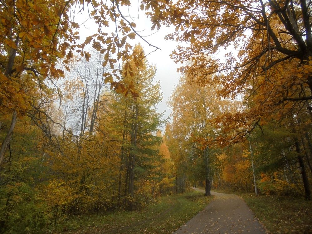 Осень в парке.