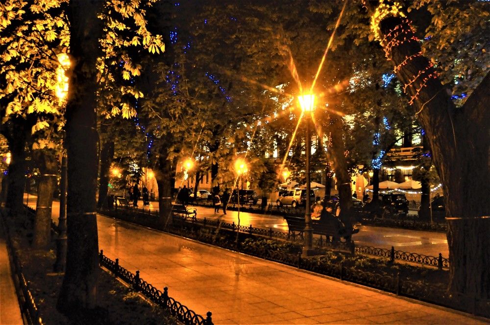 Photograph by БРОВКО АЛЕКСАНДР ИВАНОВИЧ