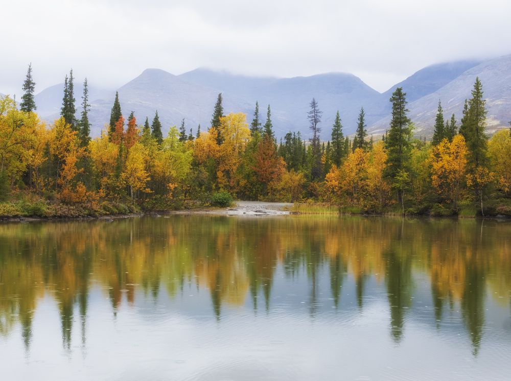 Photograph by Светлана Краюшкина