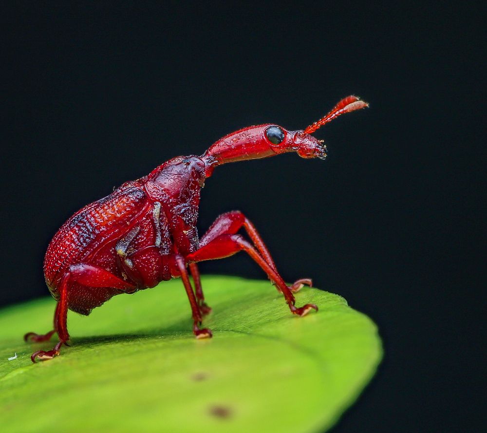 Photograph by Sunil Kumar paswan