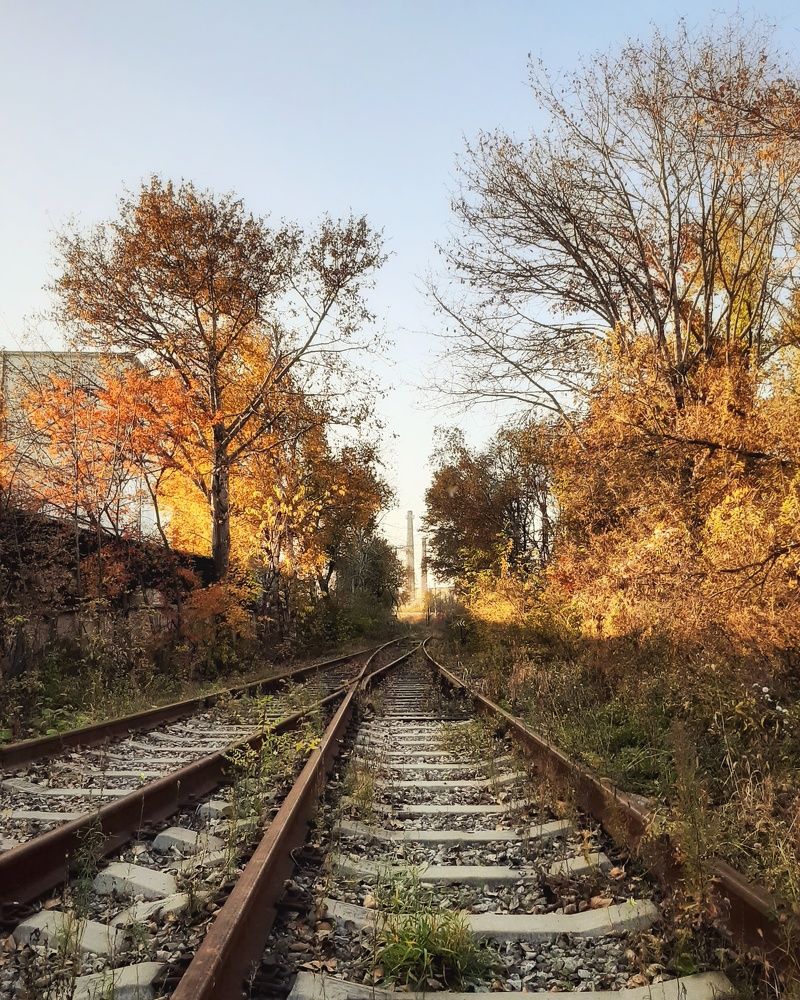 Photograph by Mobigraf