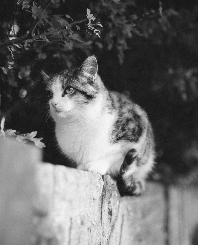 Photograph by Gunta Gergenredere