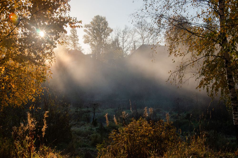 Photograph by Елена Аверина