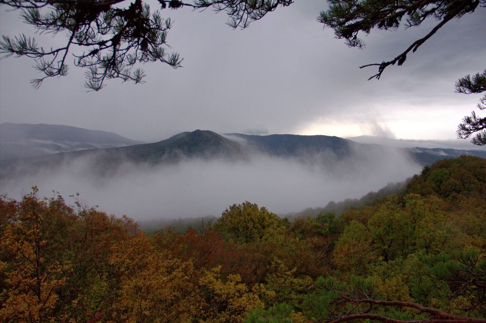 Photograph by Долгушева Татьяна