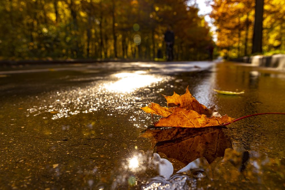 Photograph by Анастасия Малахова