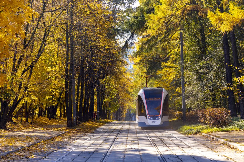 Photograph by Анастасия Малахова