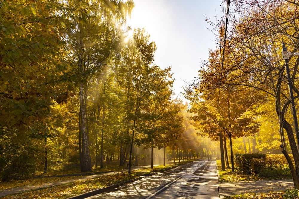 Photograph by Анастасия Малахова