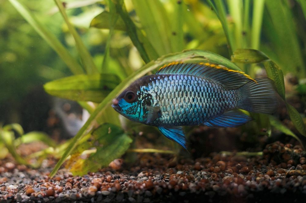 Photograph by Елена Саливон