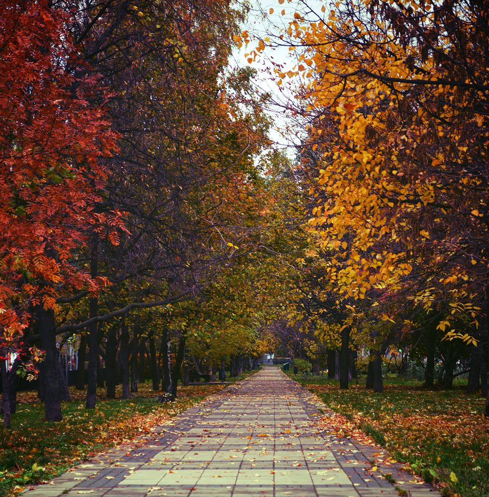 Photograph by Александр Лабутин