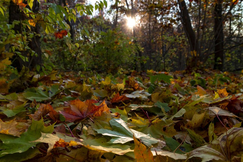 Photograph by Анастасия Малахова