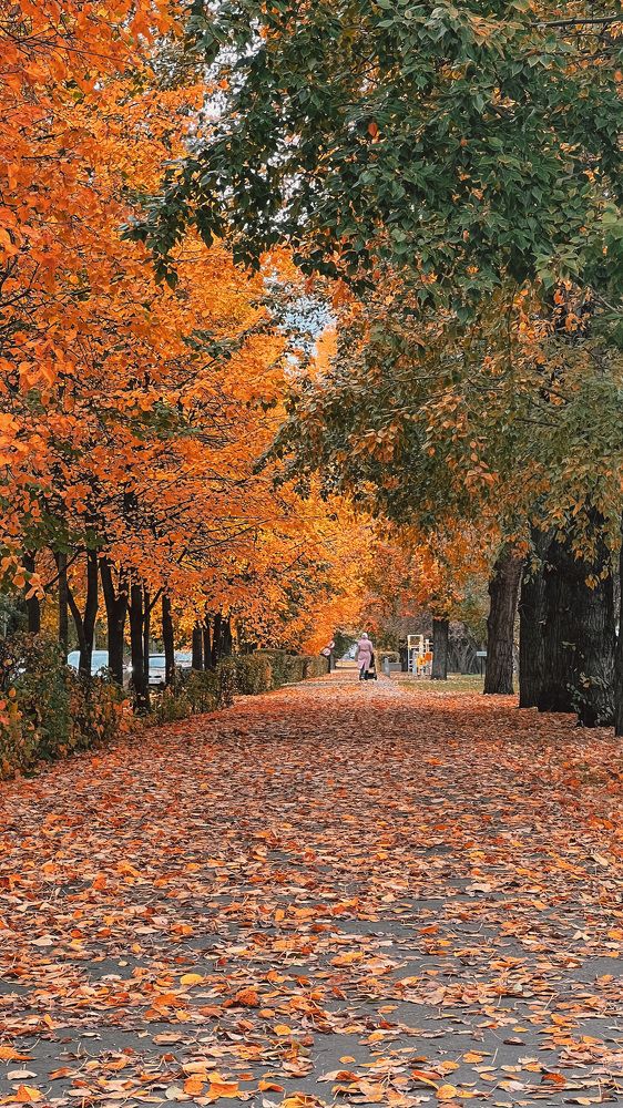 Photograph by Виктория Матушкина