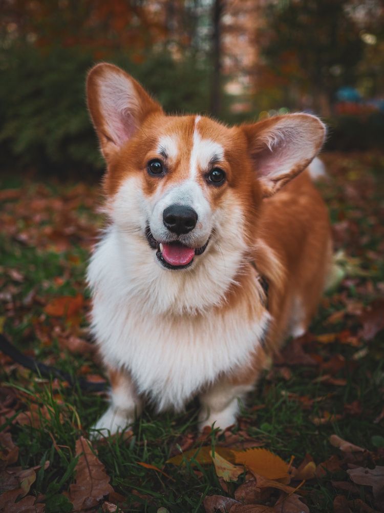 Photograph by Виктория Матушкина