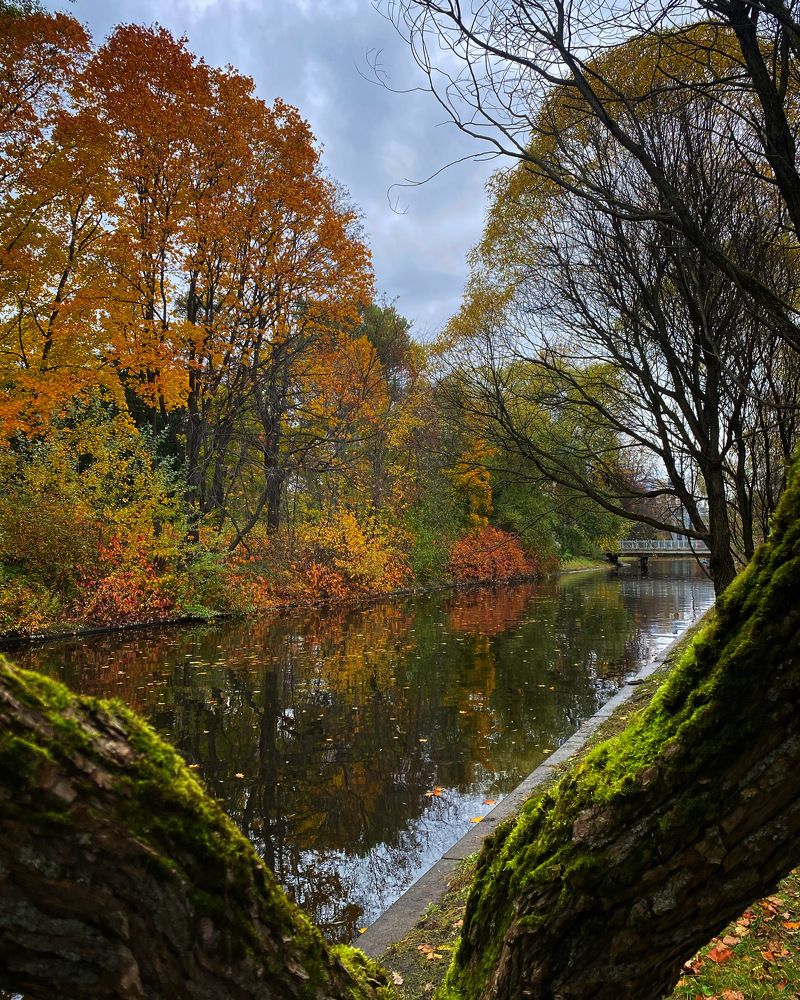 Photograph by Светлана Коган