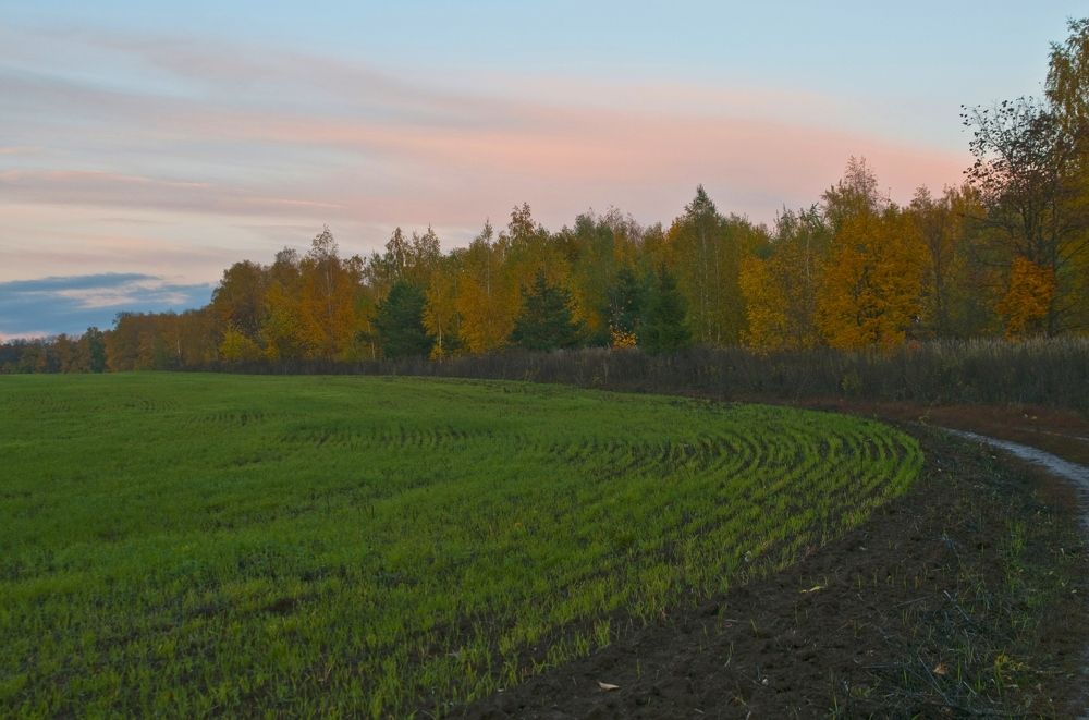 Photograph by Владимир