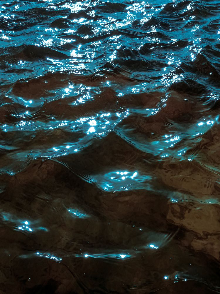 Фотография автора Abhitha