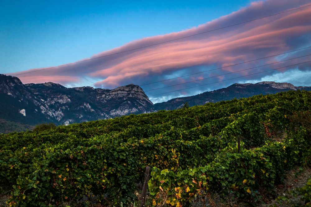 Photograph by Игорь Сидун