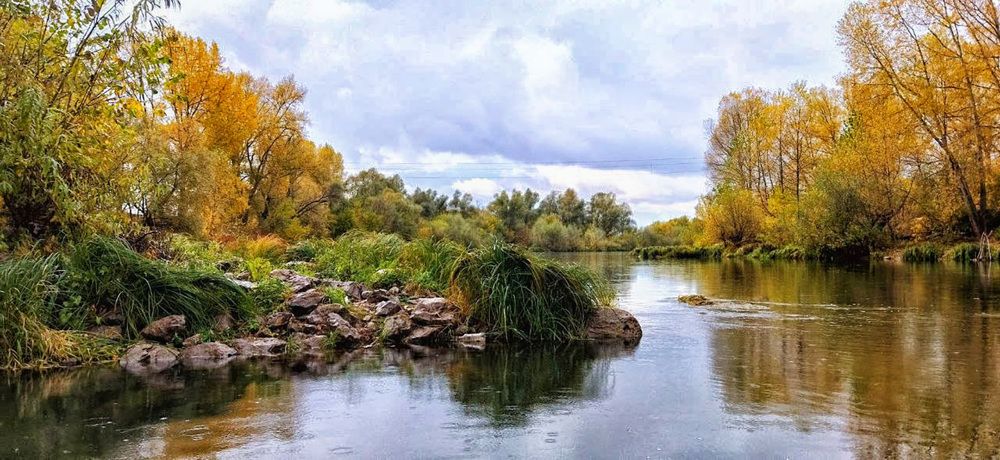Фотография автора Веста Ягужинская