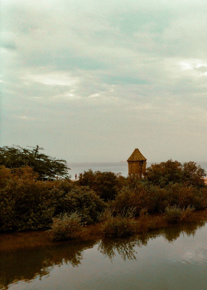 Фотография автора Abhitha