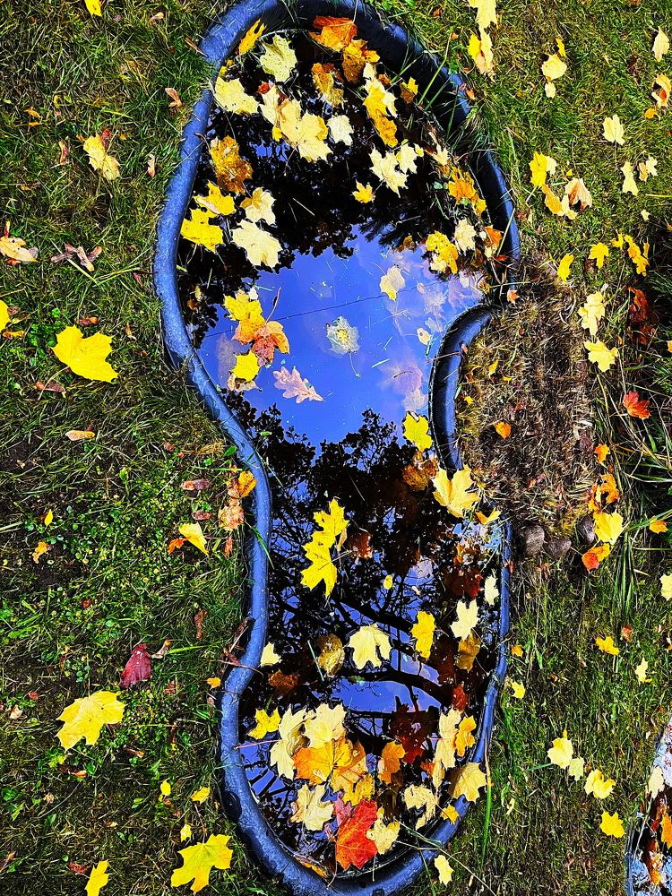 Осень идёт...!