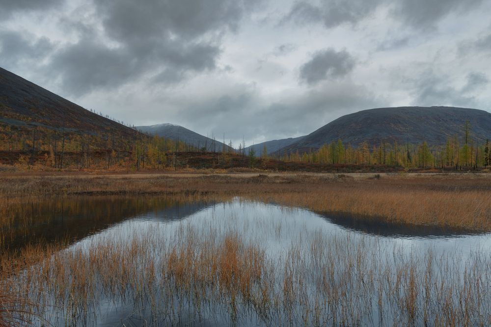 Photograph by Ирина Ульянова