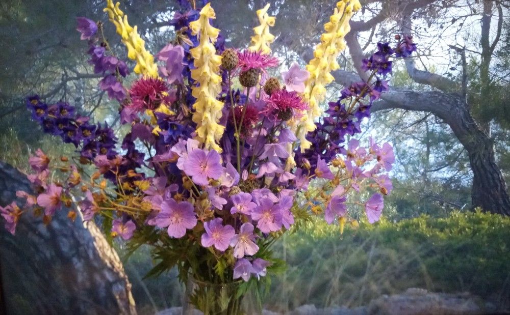 Photograph by Nokhrina Natalia