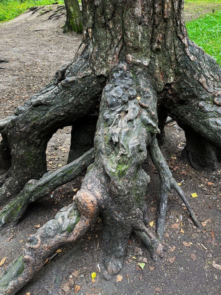 Photograph by Анатолий Протасов