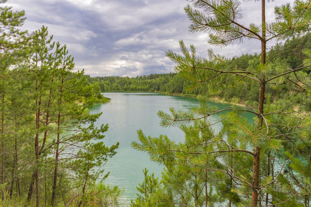 Photograph by Анастасия Малахова