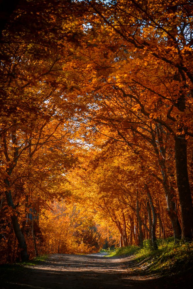 Photograph by Виктор Лагашев