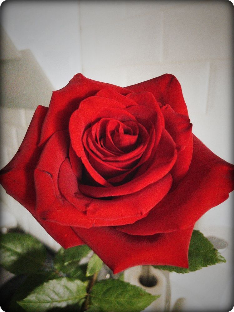 Photograph by Мария Д