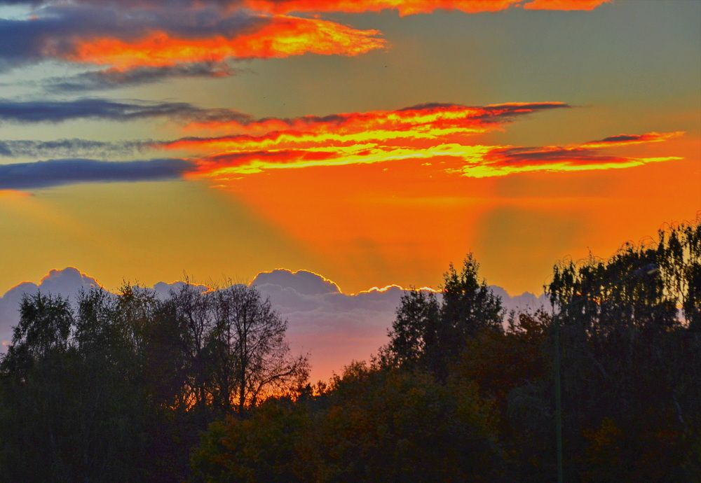 Photograph by Marija Stanislavich