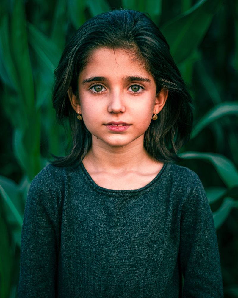 Photograph by Ehsan Moradi