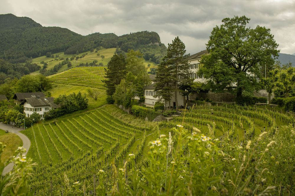 Photograph by Mariia Muratova