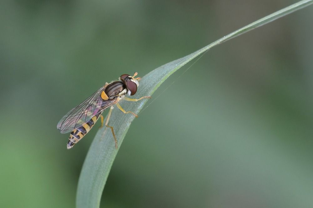 Photograph by Djordje Filipovic