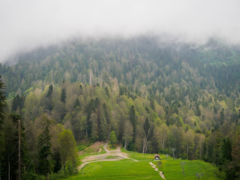 Photograph by Анна Шейко