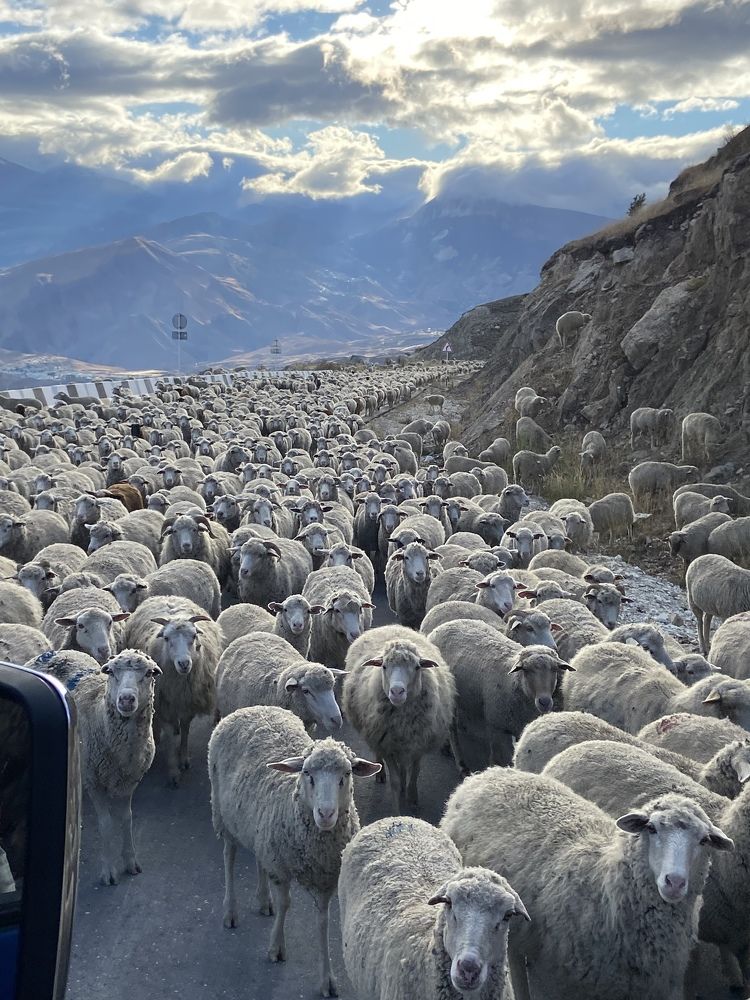 Photograph by Тамара