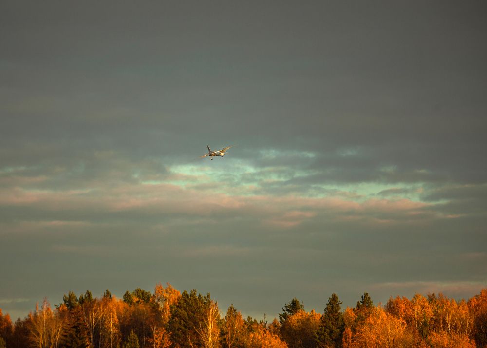 Photograph by Денис Дорошенко