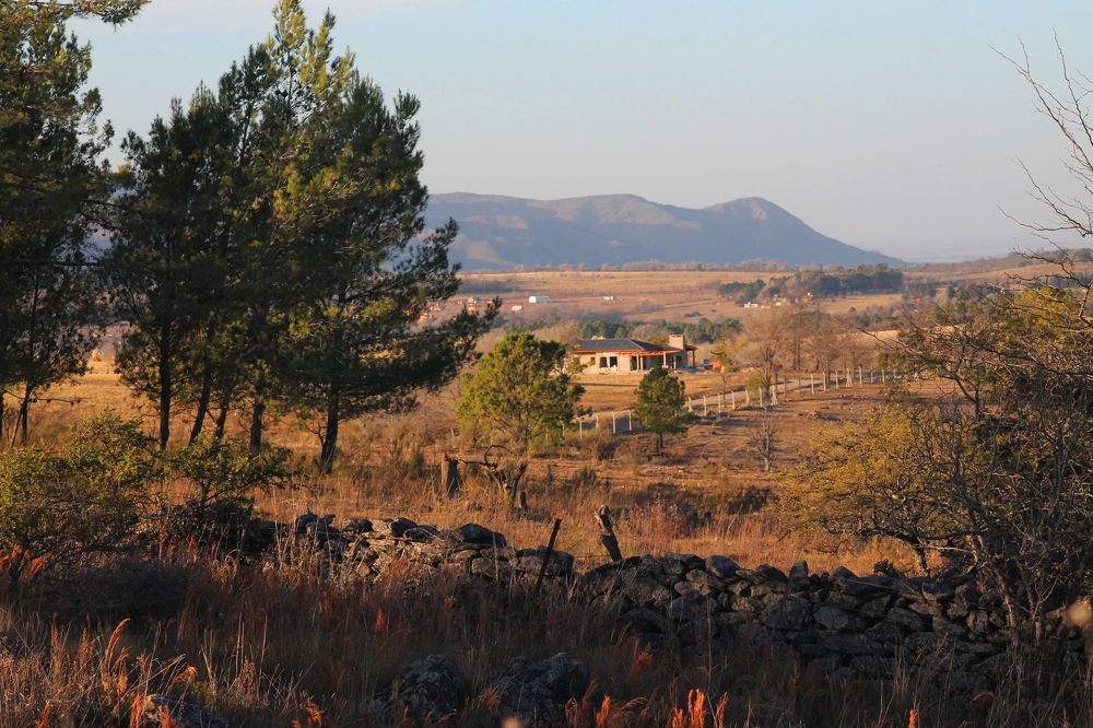 Фотография автора César Carrion