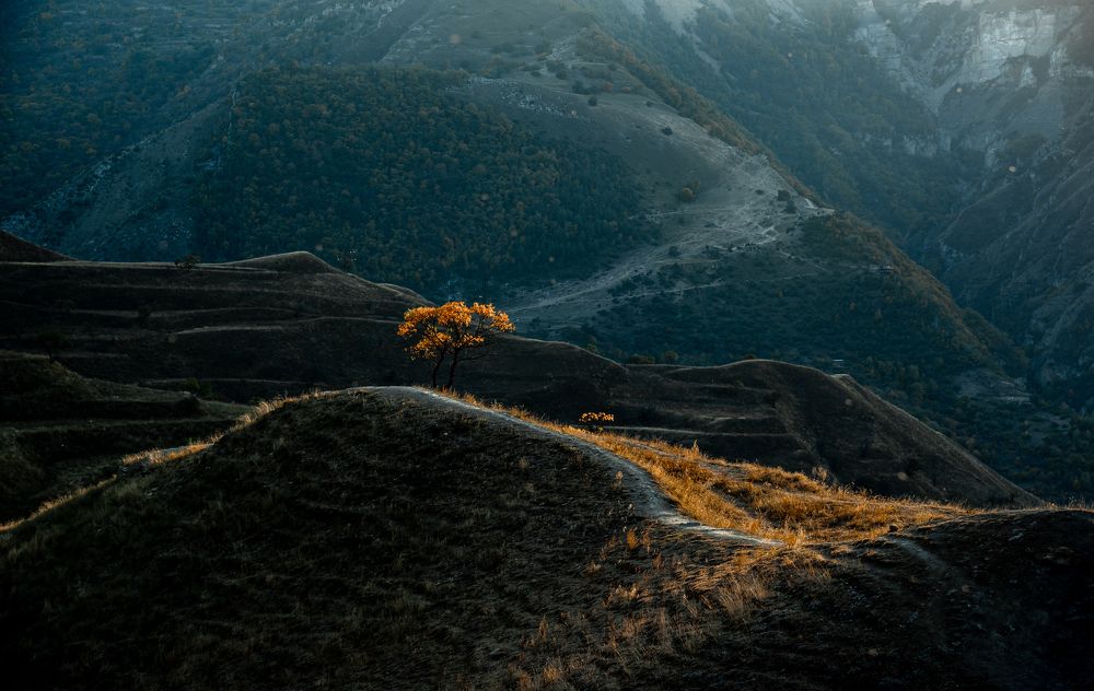 Photograph by Юрий Киреичев