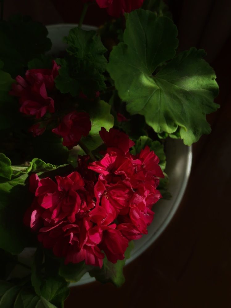 Photograph by Анастасия Дубинина