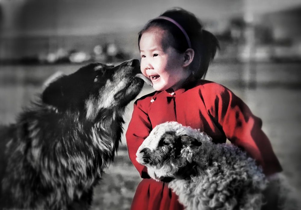 Photograph by Анастасия Дубинина