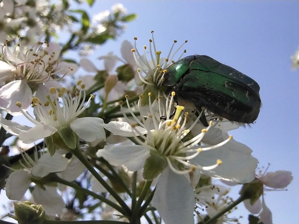 Photograph by Александра Лукашевич