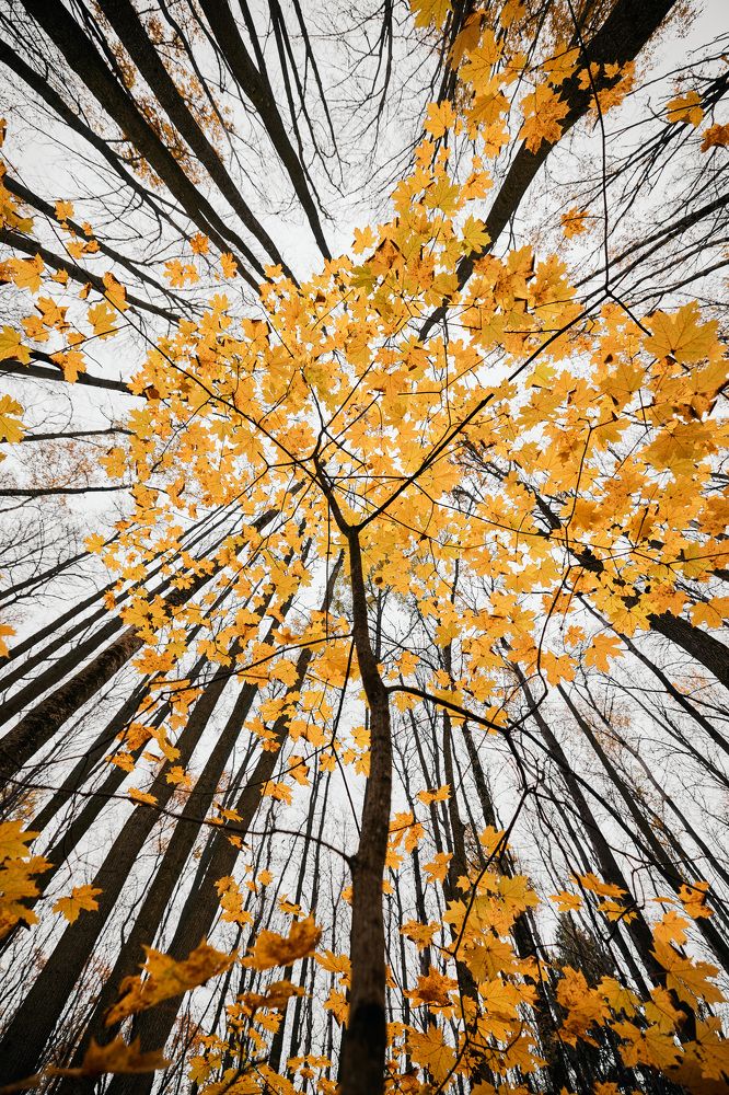 Photograph by Дмитрий Дыбов