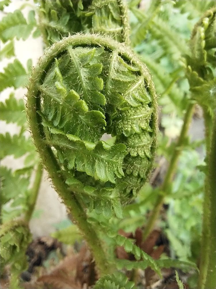 Photograph by Александра Лукашевич