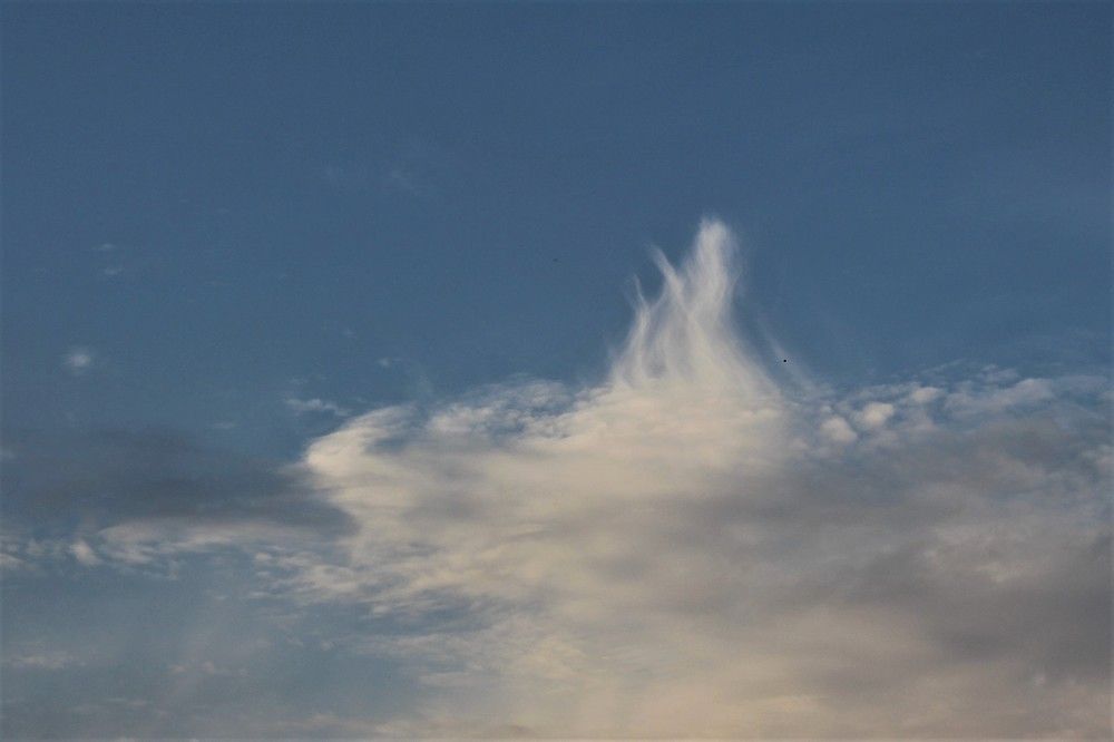 Photograph by Валентина