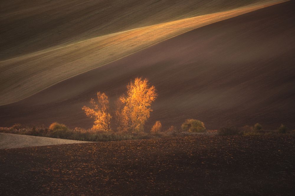 Photograph by Lara Iris