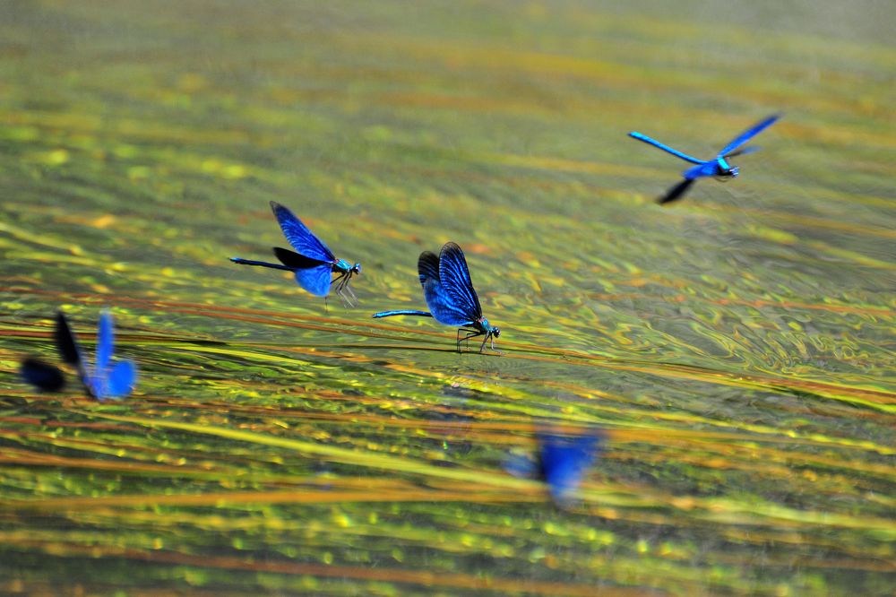 Photograph by Юрий Яковлев